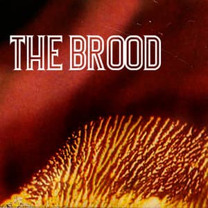 The Brood