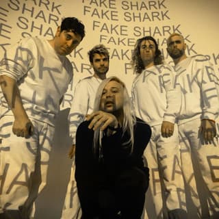 Fake Shark