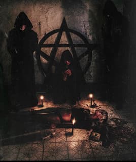 Temple of the Fuzz Witch