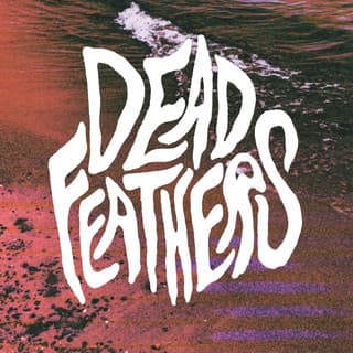 Dead Feathers