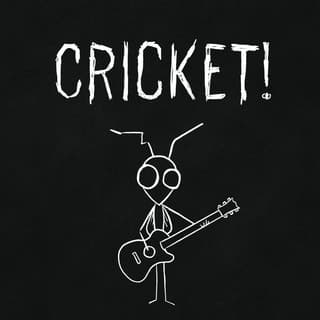 Cricket!