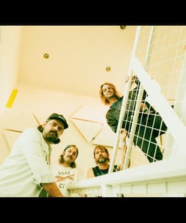 The Mammoths