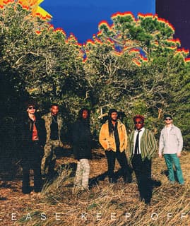The Psycodelics