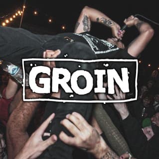 Groin
