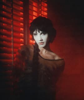 Dove Armitage