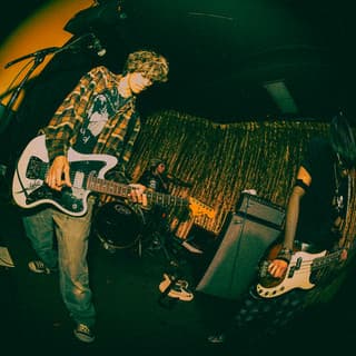 Willowake