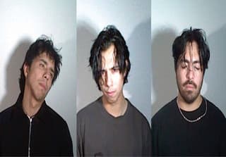 LATIN MAFIA
