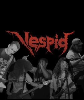 Vespid