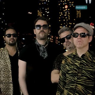 The Zappe Cats
