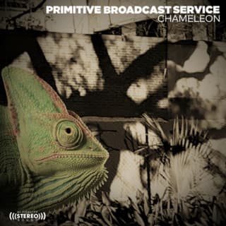 Primitive Broadcast Service