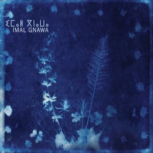imal Gnawa