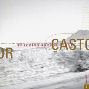 Castor