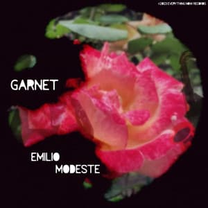 Emilio Modeste