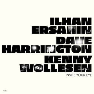 Kenny Wollesen