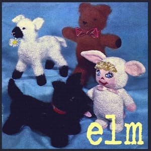 Elm
