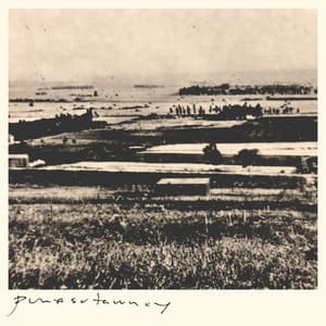 punxsutawney